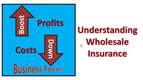 Wholesale Insurance: Understanding the Role of